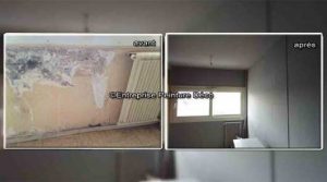Sous escalier problème humidité pose peinture anti moisissure appartement loué 