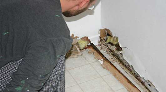 Préparer mur intérieur abimé par l’humidité en Essonne (91) Préparer mur intérieur abimé par l'humidité en Essonne (91)