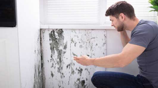 Devis peinture dégât des eaux en Essonne 91 Devis peinture dégât des eaux en Essonne 91