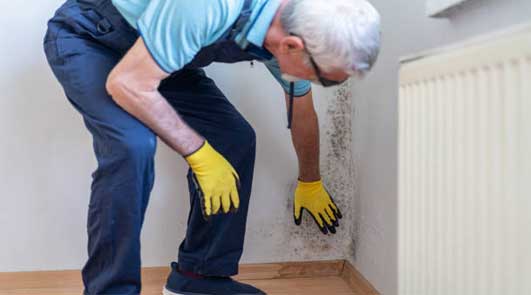 Peintre spécialisée en dégâts des eaux